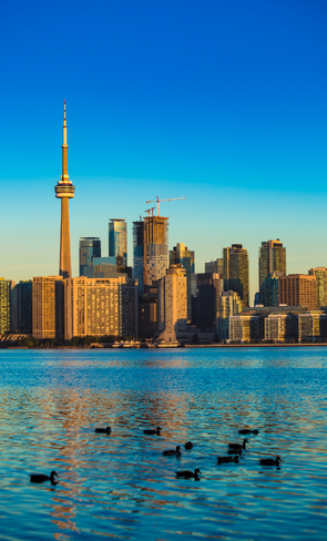 best astaxanthin form toronto