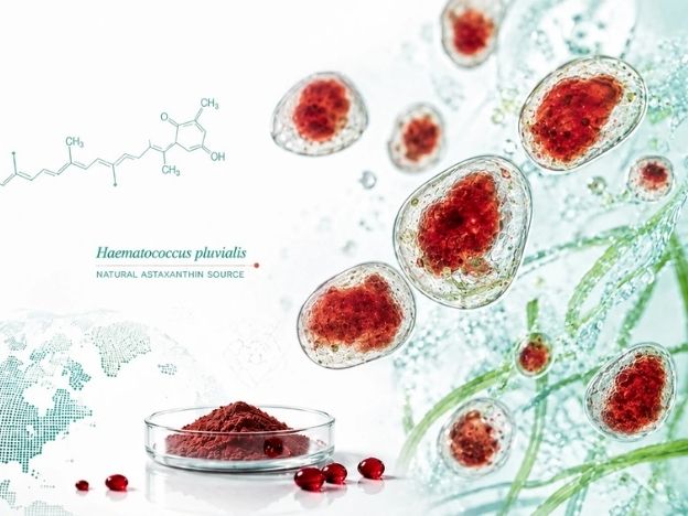 Why We Should Look For Branded Ingredients In Supplements